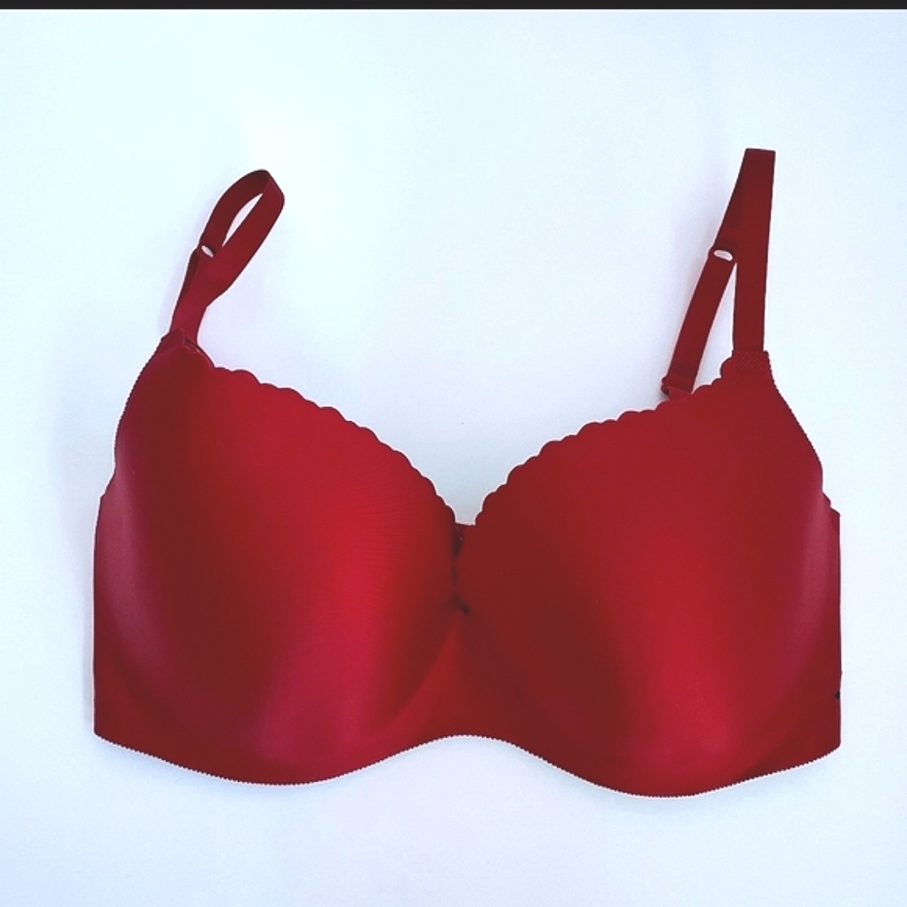 Red & Black Bra embroidered laurel leaves on back